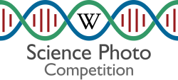 Russian Science Photo Competition 2022